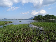 ���Î��u�T�����vweb�y�[�W