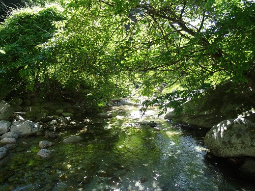 ���Î��u�T�����vweb�y�[�W