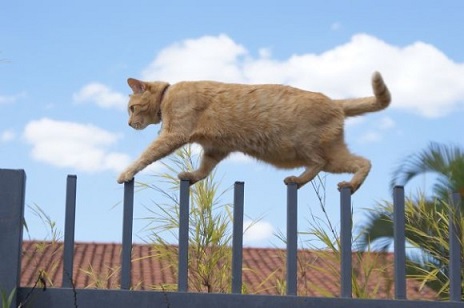 ���Î��u�T�����vweb�y�[�W