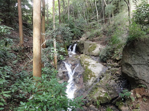 ���Î��u�T�����vweb�y�[�W