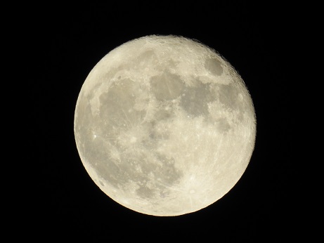 ���Î��u�T�����vweb�y�[�W