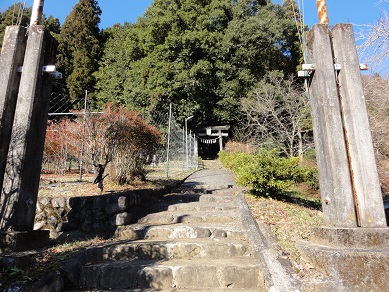 ���Î��u�T�����vweb�y�[�W