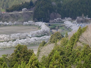 ���Î��u�T�����vweb�y�[�W