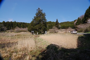 ���Î��u�T�����vweb�y�[�W