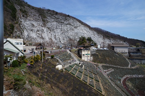 ���Î��u�T�����vweb�y�[�W