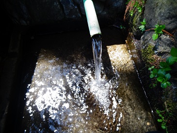 ���Î��u�T�����vweb�y�[�W