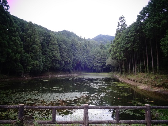 ���Î��u�T�����vweb�y�[�W