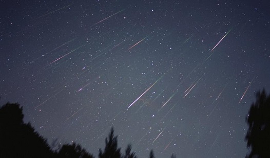 ���Î��u�T�����vweb�y�[�W