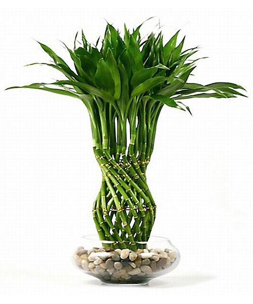 ���Î��u�T�����vweb�y�[�W