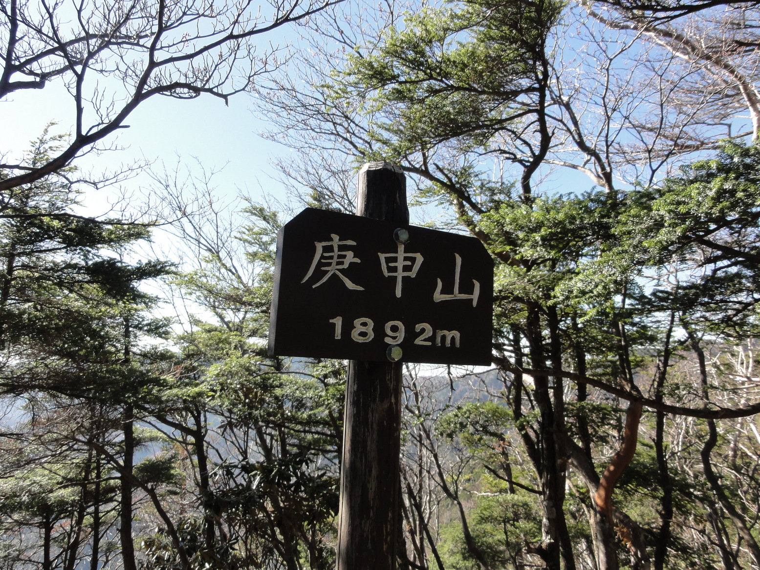 ���Î��u�T�����vweb�y�[�W