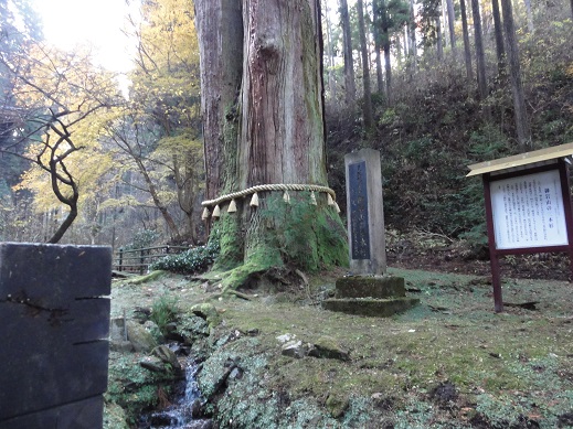 ���Î��u�T�����vweb�y�[�W