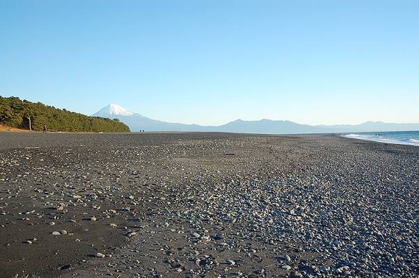 ���Î��u�T�����vweb�y�[�W