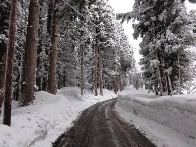 ���Î��u�T�����vweb�y�[�W