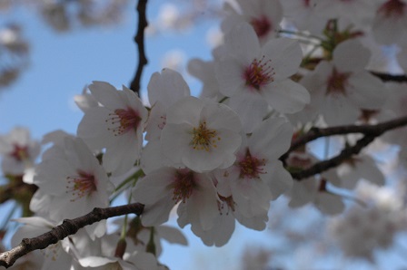 ���Î��u�T�����vweb�y�[�W