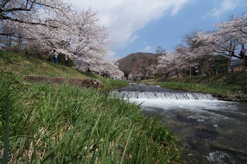 ���Î��u�T�����vweb�y�[�W