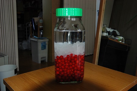 ���Î��u�T�����vweb�y�[�W