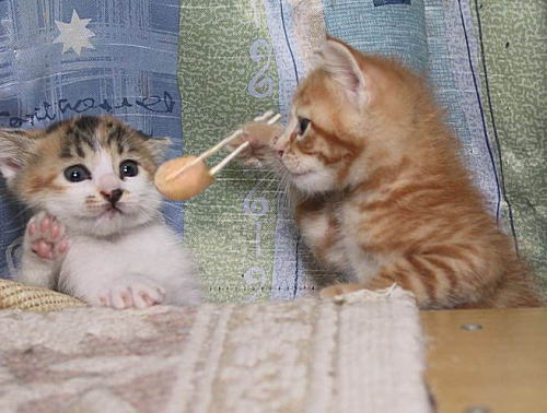 ���Î��u�T�����vweb�y�[�W