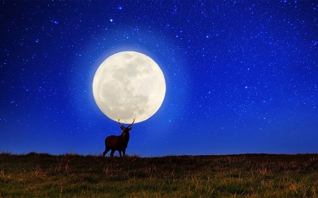 ���Î��u�T�����vweb�y�[�W