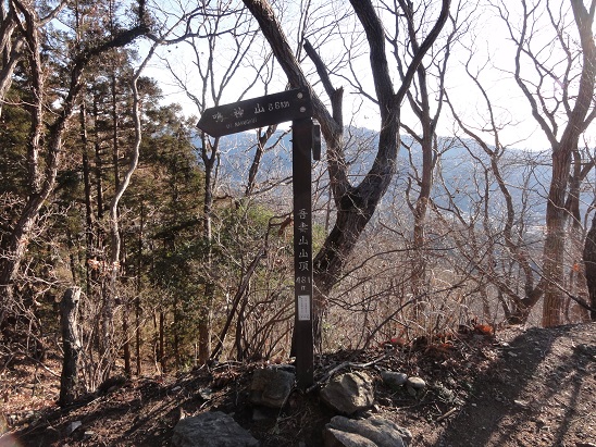 ���Î��u�T�����vweb�y�[�W