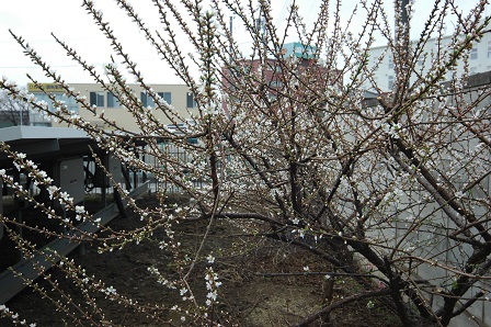 ���Î��u�T�����vweb�y�[�W