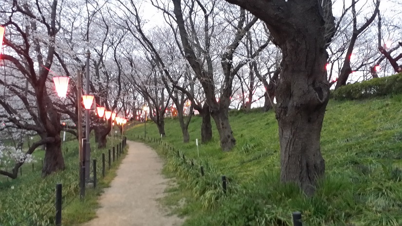 ���Î��u�T�����vweb�y�[�W