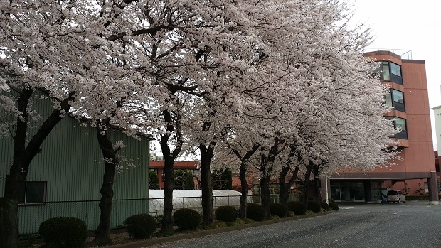 ���Î��u�T�����vweb�y�[�W