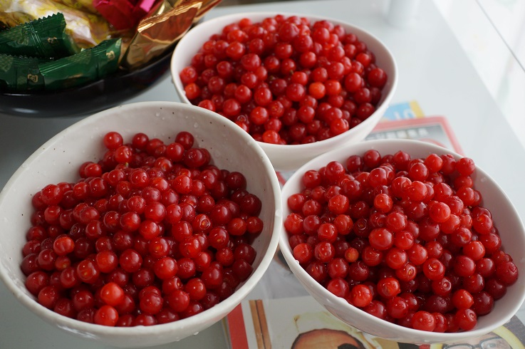 ���Î��u�T�����vweb�y�[�W