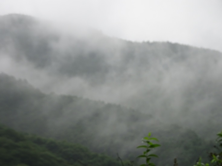 ���Î��u�T�����vweb�y�[�W