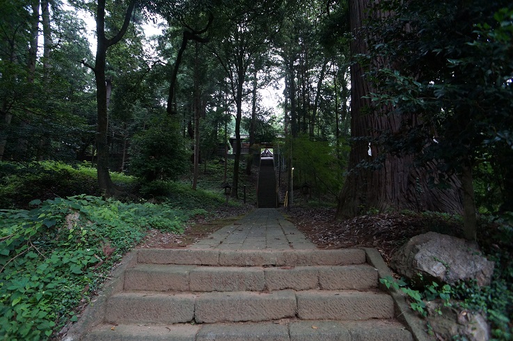 ���Î��u�T�����vweb�y�[�W