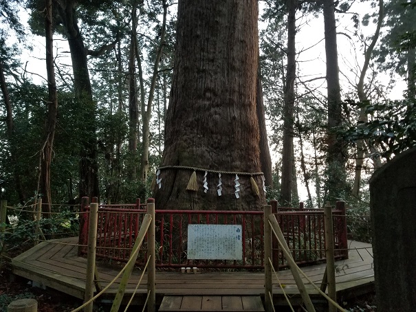 ���Î��u�T�����vweb�y�[�W