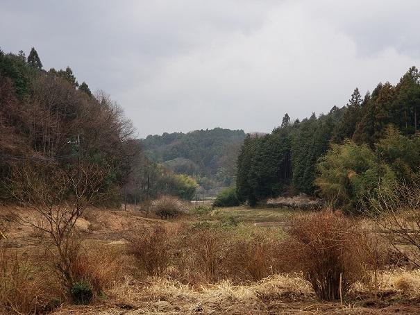 ���Î��u�T�����vweb�y�[�W