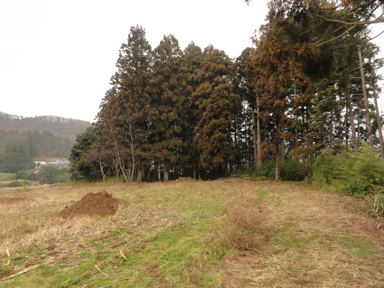 ���Î��u�T�����vweb�y�[�W