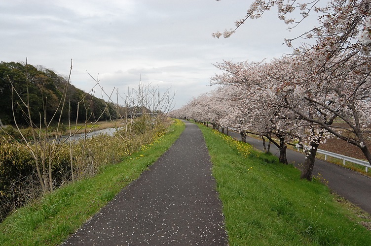 ���Î��u�T�����vweb�y�[�W