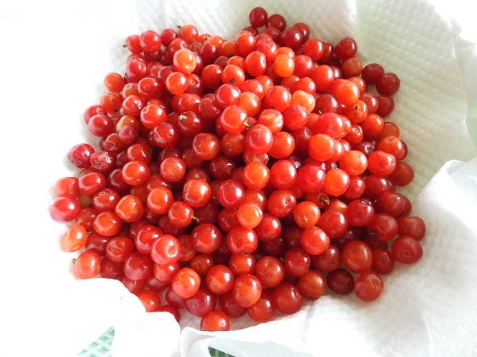 ���Î��u�T�����vweb�y�[�W