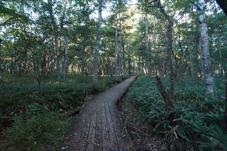 ���Î��u�T�����vweb�y�[�W