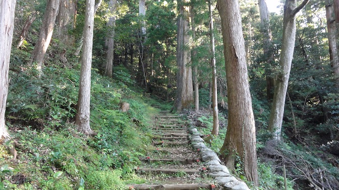 ���Î��u�T�����vweb�y�[�W