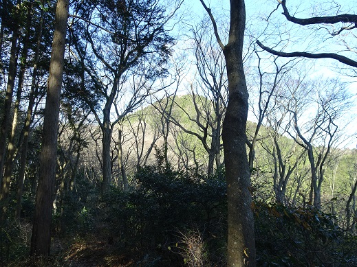 ���Î��u�T�����vweb�y�[�W