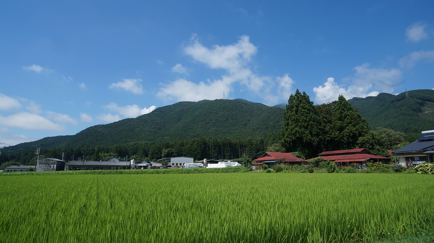 ���Î��u�T�����vweb�y�[�W