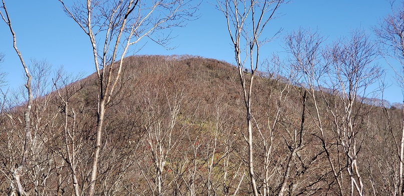 ���Î��u�T�����vweb�y�[�W