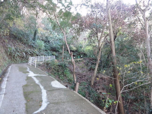 ���Î��u�T�����vweb�y�[�W