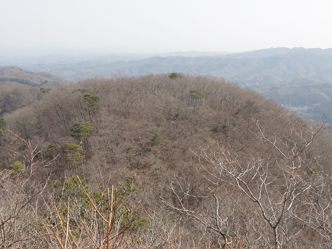 ���Î��u�T�����vweb�y�[�W