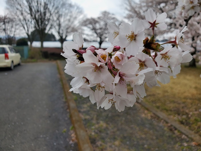 ���Î��u�T�����vweb�y�[�W