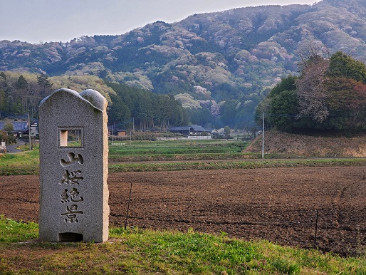 ���Î��u�T�����vweb�y�[�W