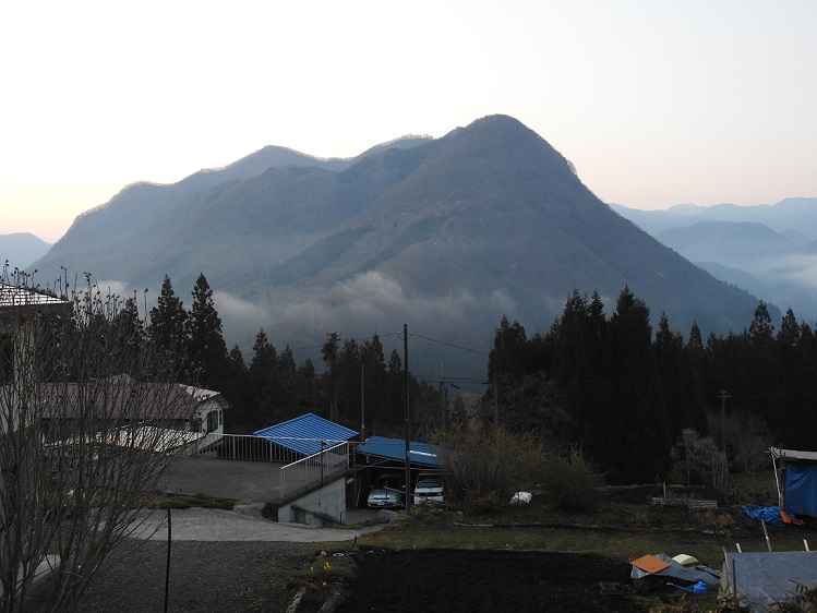 ���Î��u�T�����vweb�y�[�W