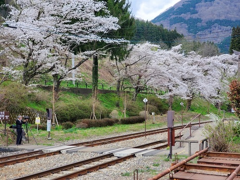 ���Î��u�T�����vweb�y�[�W