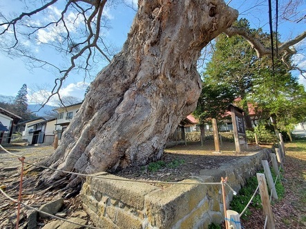 ���Î��u�T�����vweb�y�[�W