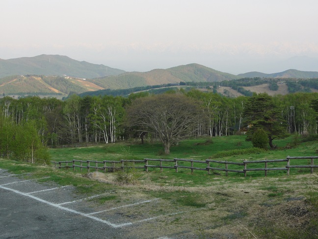 ���Î��u�T�����vweb�y�[�W