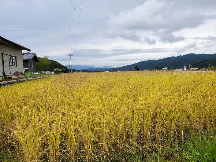 ���Î��u�T�����vweb�y�[�W