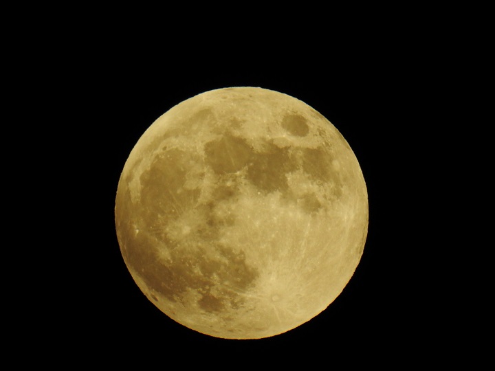 ���Î��u�T�����vweb�y�[�W