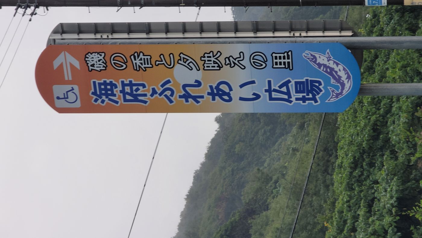 CƂˁBuC{ӂꂠLviÎuTvweby[Wj